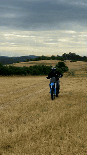 Pravý GIF