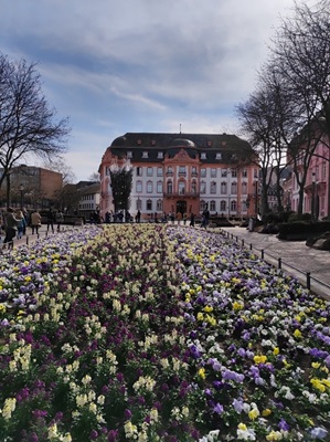 Obrázek 3