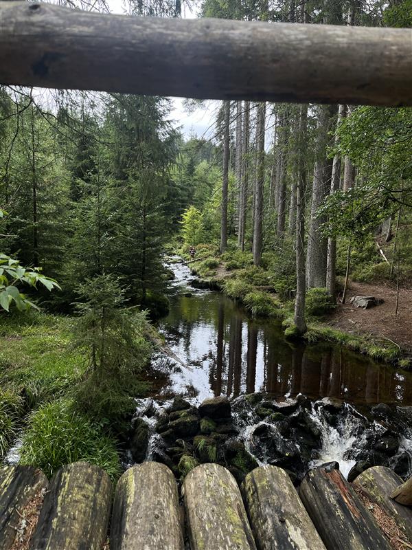 Šumava