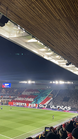 fotbal