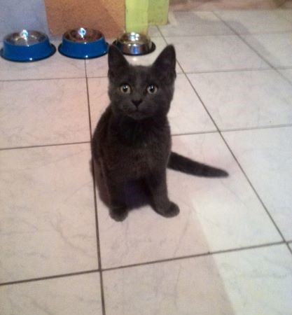 Malá Bonnie