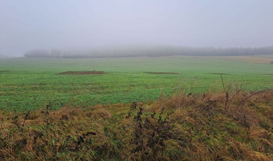 Procházka