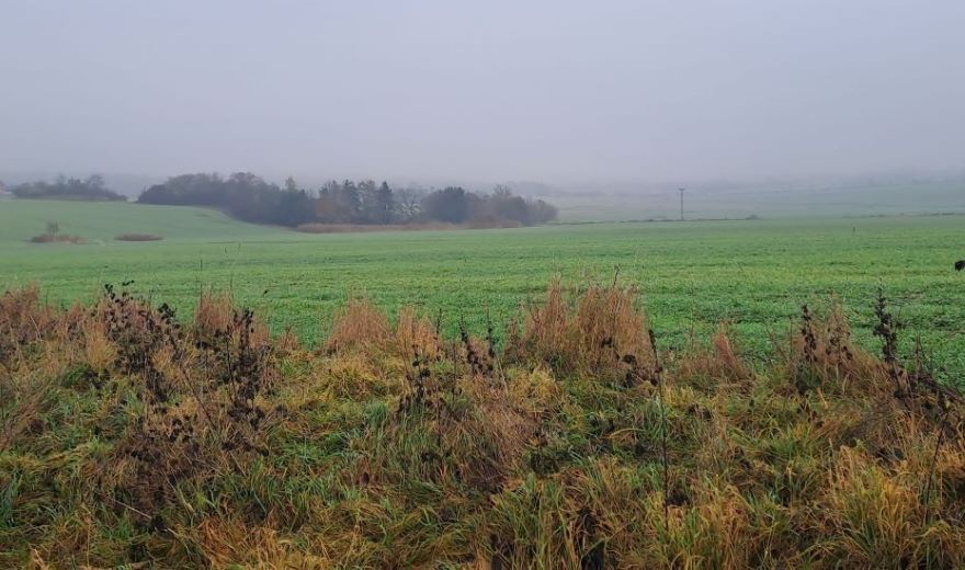 Procházka